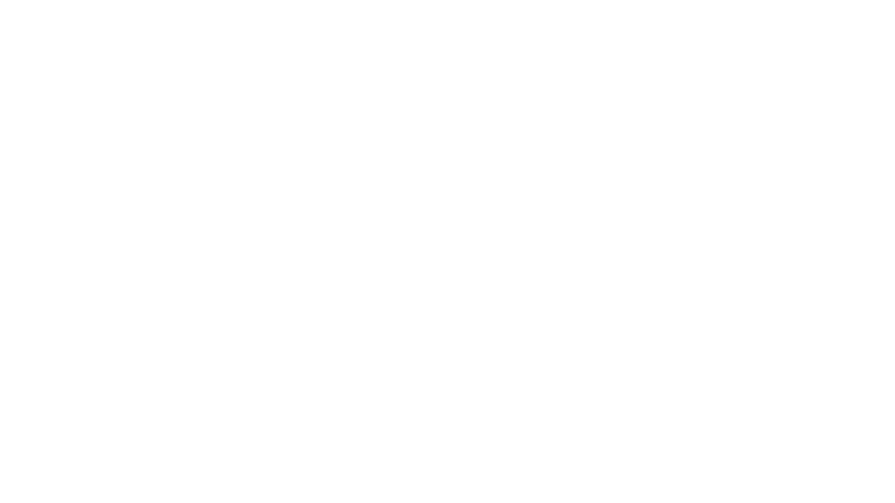 Logo Wiesenplatztl weiss